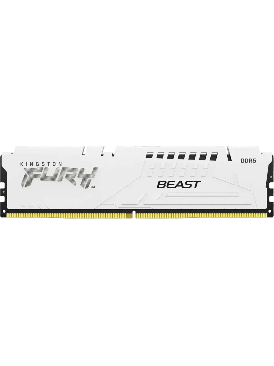 Kingston Fury Beast